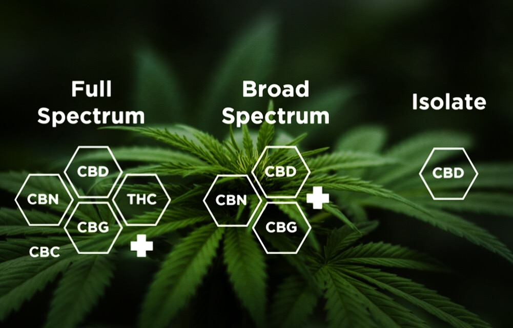 Full Spectrum, Broad Spectrum and Isolated cannabis  